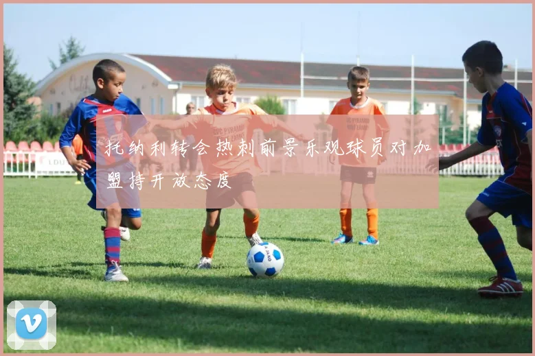 托纳利转会热刺前景乐观球员对加盟持开放态度