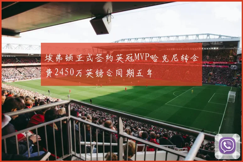 埃弗顿正式签约英冠MVP哈克尼转会费2450万英镑合同期五年
